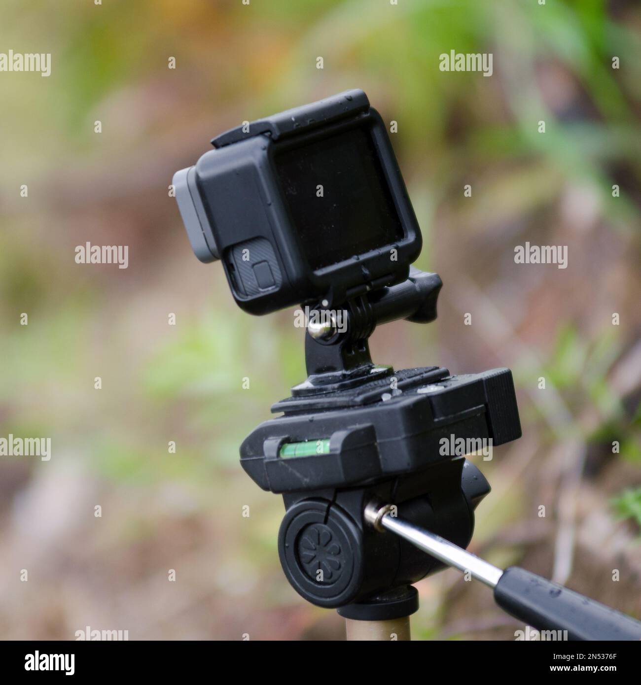Action camera stands on a small tripod with a water level, recording video, among the grass and forest. Stock Photo