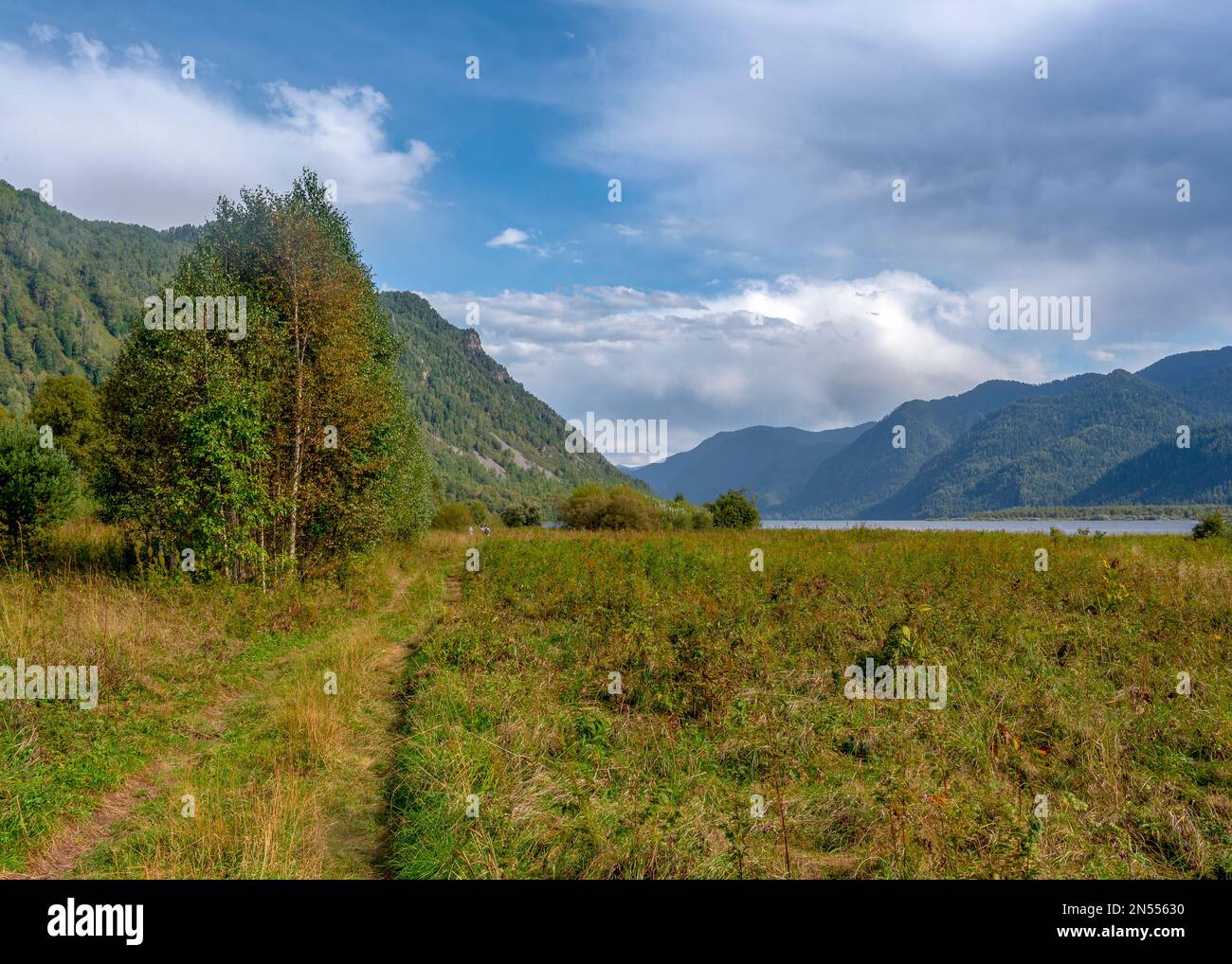 Landscape of the road among the fields near the Teletskoye lake in the Altai mountains with trees and silhouettes of tourists in the distance. Stock Photo