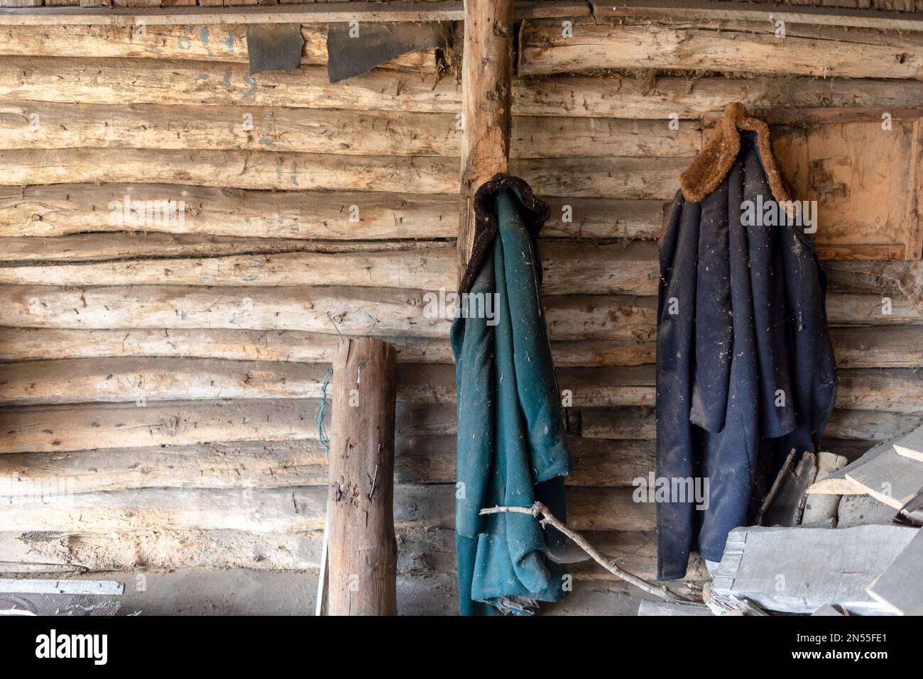 Two old coats hang on the wooden wall of a shed abandoned in the village by firewood and branches. Stock Photo