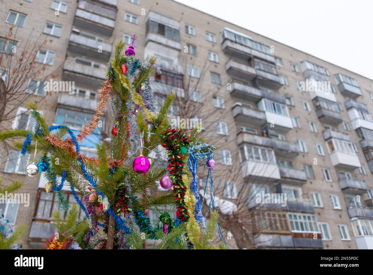 A Christmas tree stands decorated with garlands and tinsel in a Russian