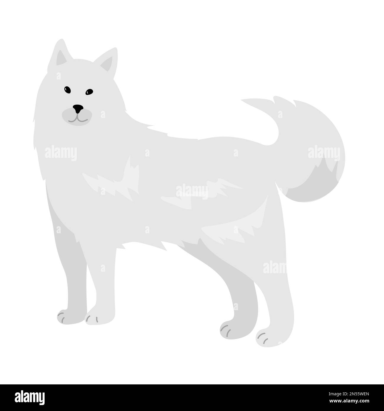 An illustration depicting Samoyed dog cartoon. vector isolated Stock Vector Image & Art Alamy