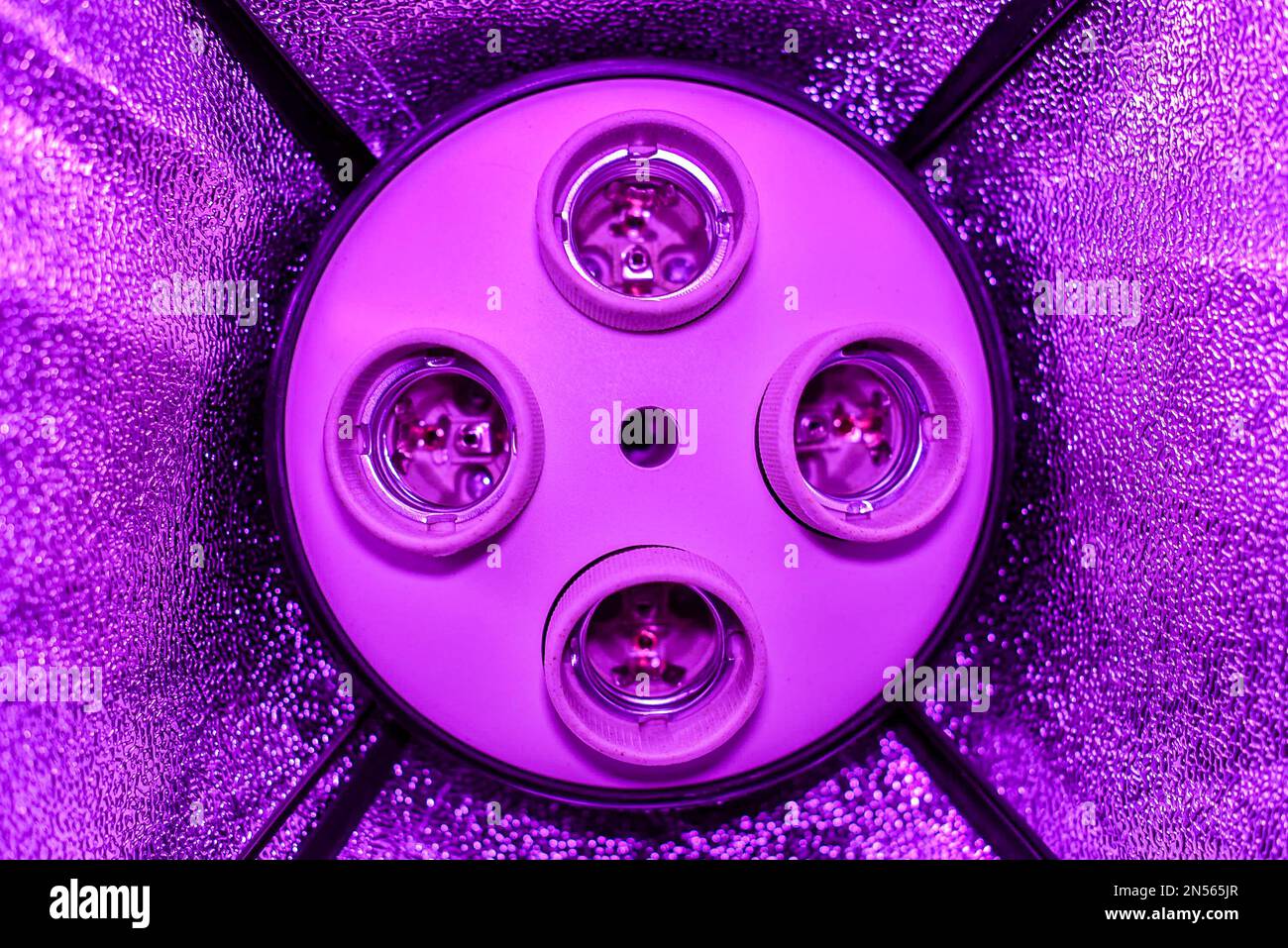 Four empty cartridges in a ceiling without lamps in a Studio softbox with reflectors stand in the lilac gloom. Stock Photo