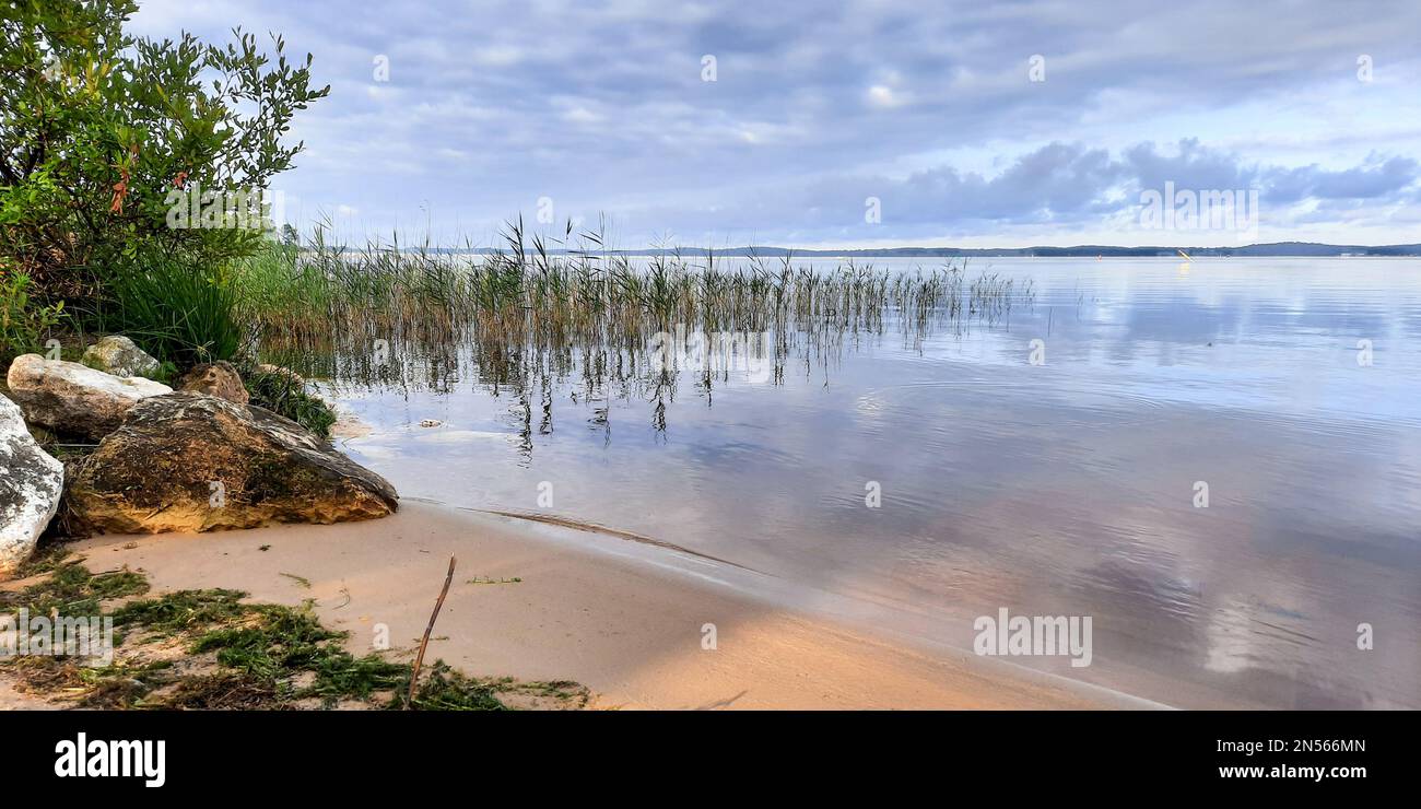 wild beach sandy coast in Biscarrosse lake in landes France Stock Photo