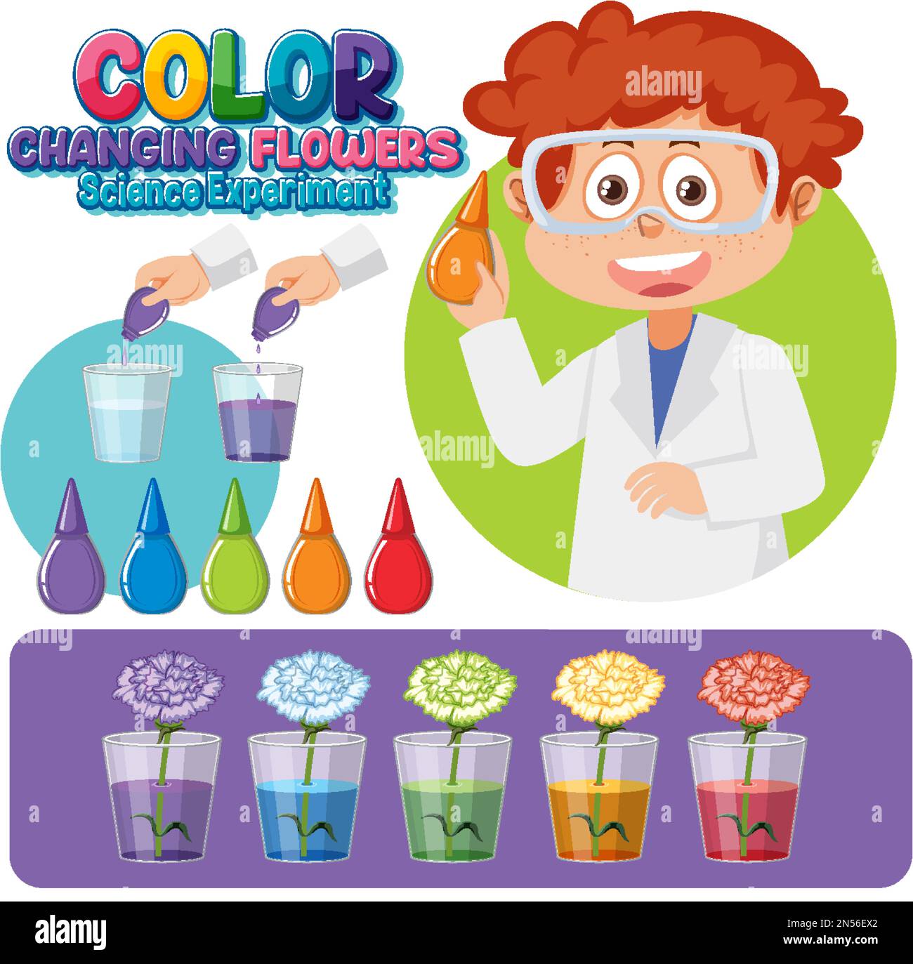 Color changing flowers science experiment illustration Stock Vector