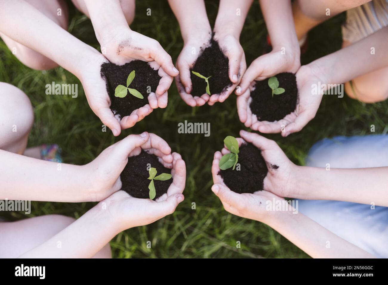 kids holding their hands clover . Resolution and high quality beautiful photo Stock Photo