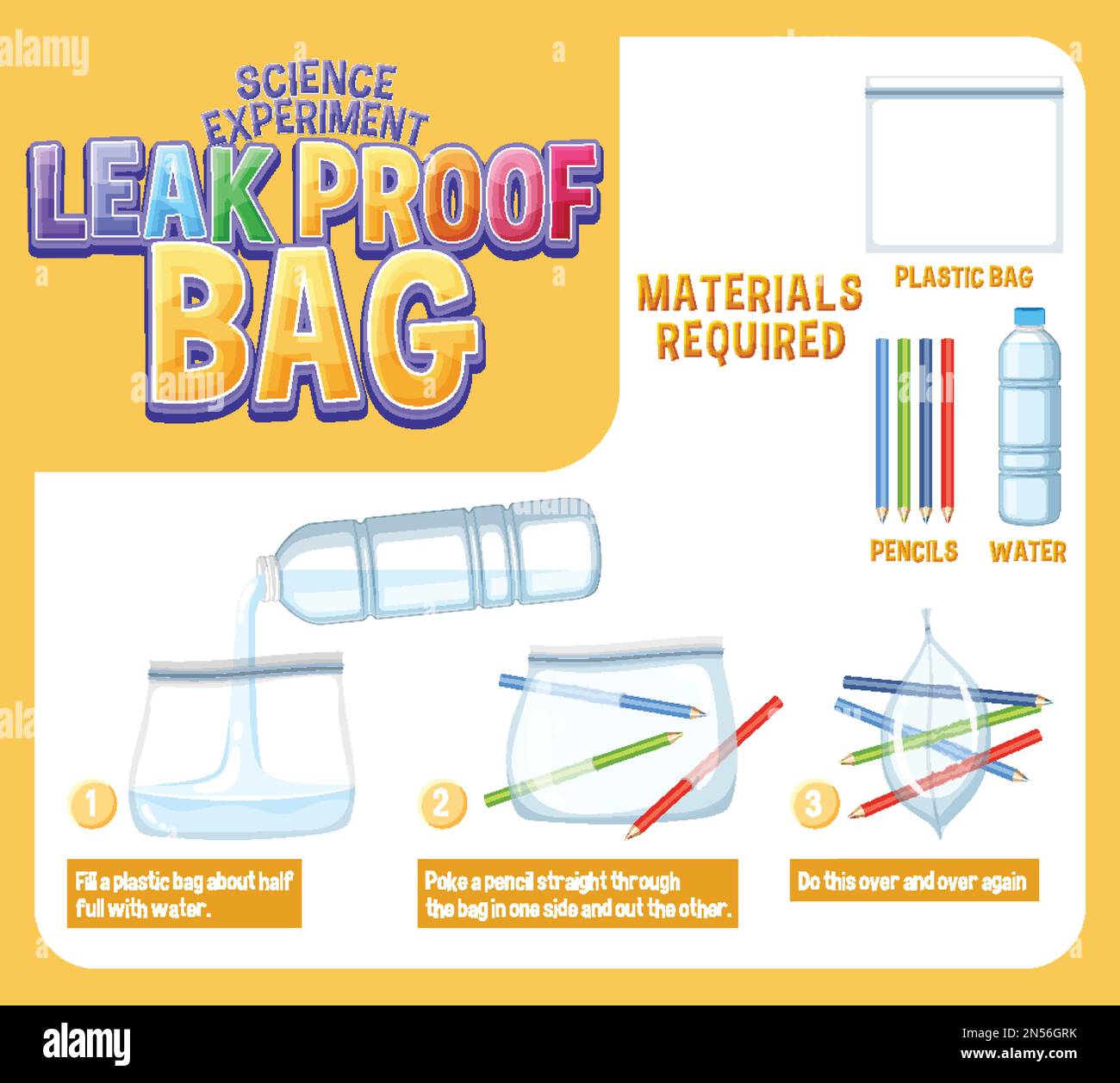 Leak Proof Bag Science Experiment illustration Stock Vector Image & Art