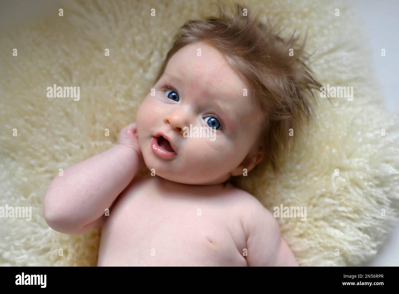 Infant, girl, 3 months, Baden-Wuerttemberg, Germany Stock Photo