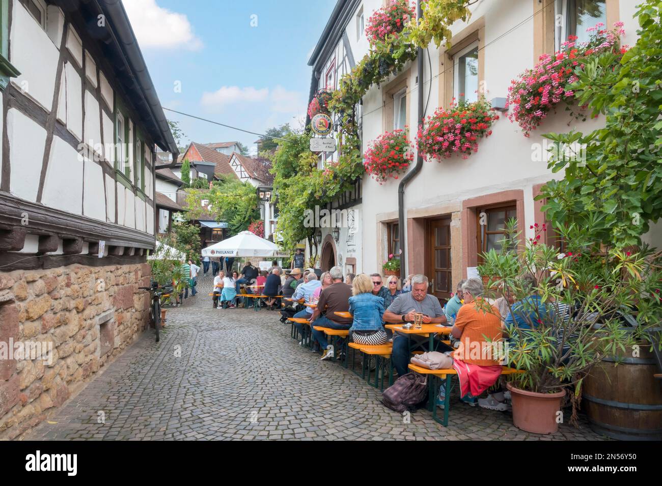 Wine festival in the wine village of Gleiszellen, Southern Palatinate, Palatinate, Rhineland-Palatinate, Germany Stock Photo