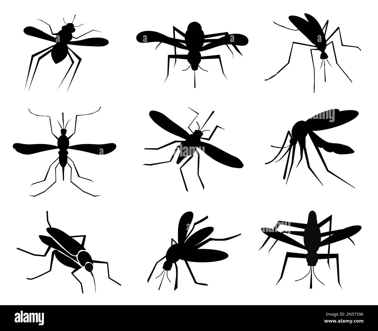 Set of black mosquitoes on white background. Illustration Stock Photo