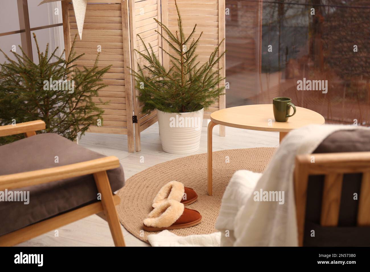 Small potted fir trees in light room. Interior design Stock Photo - Alamy
