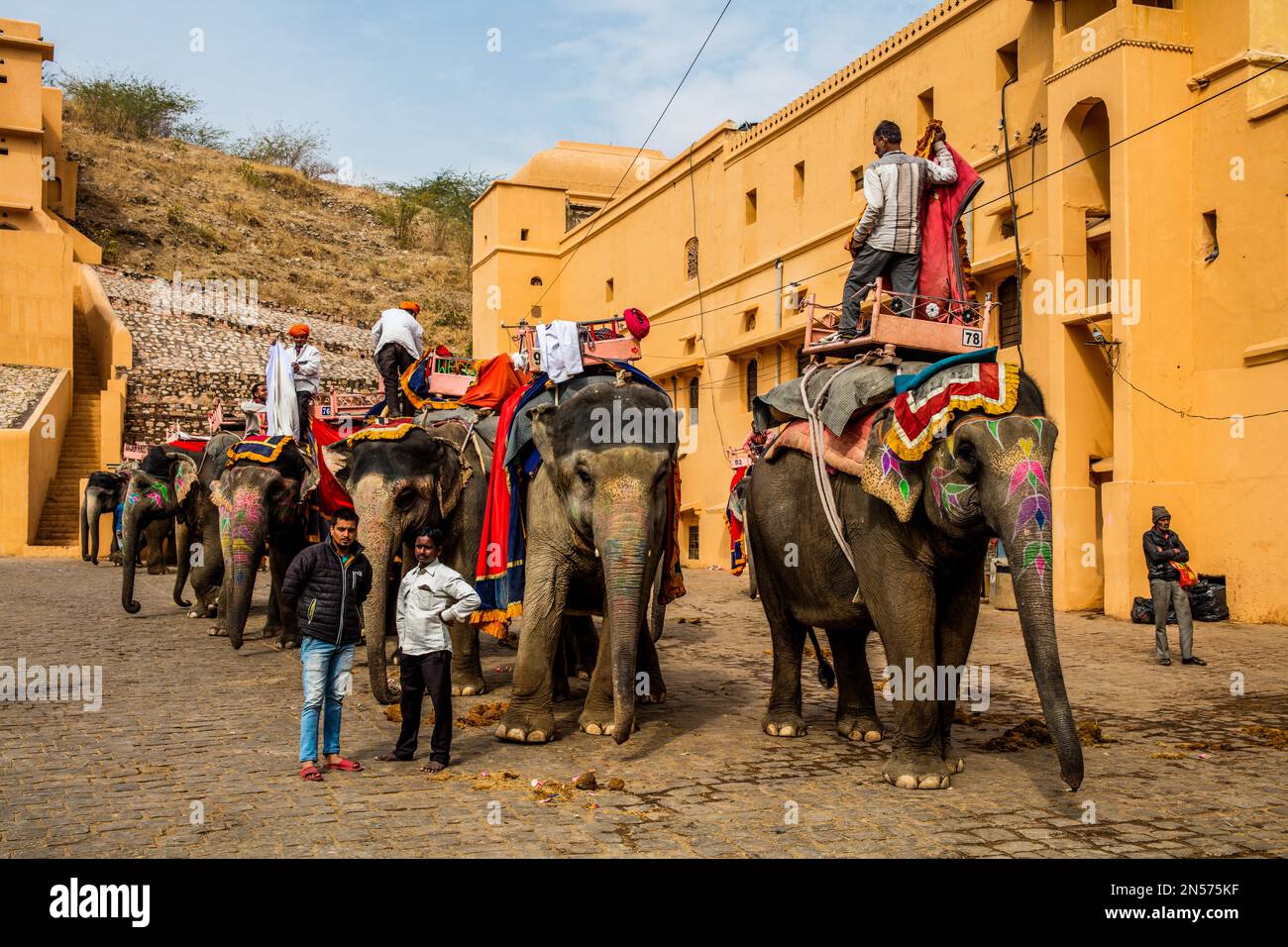 Elephants after work at the gathering place, Fort Amber, Amber, Rajasthan, India Stock Photo