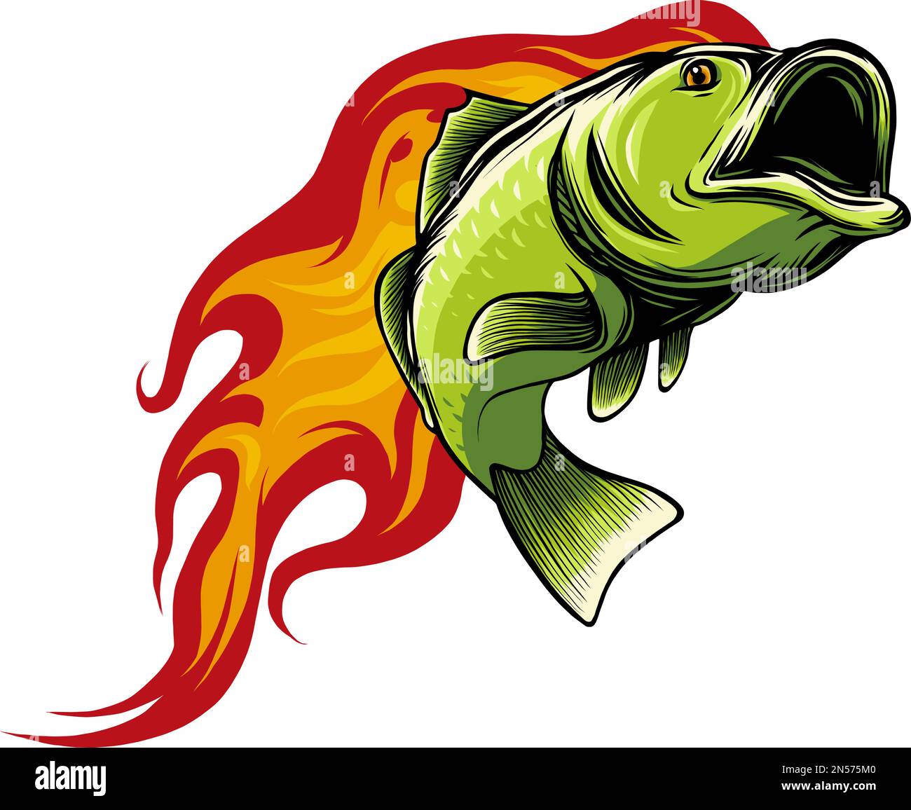 Natural Green Bass Fish in vector Illustration Stock Vector