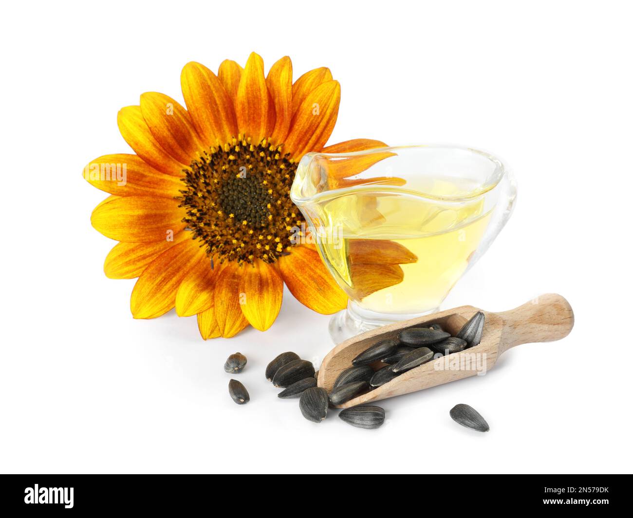 Sunflower, jug of oil and seeds on white background Stock Photo Alamy