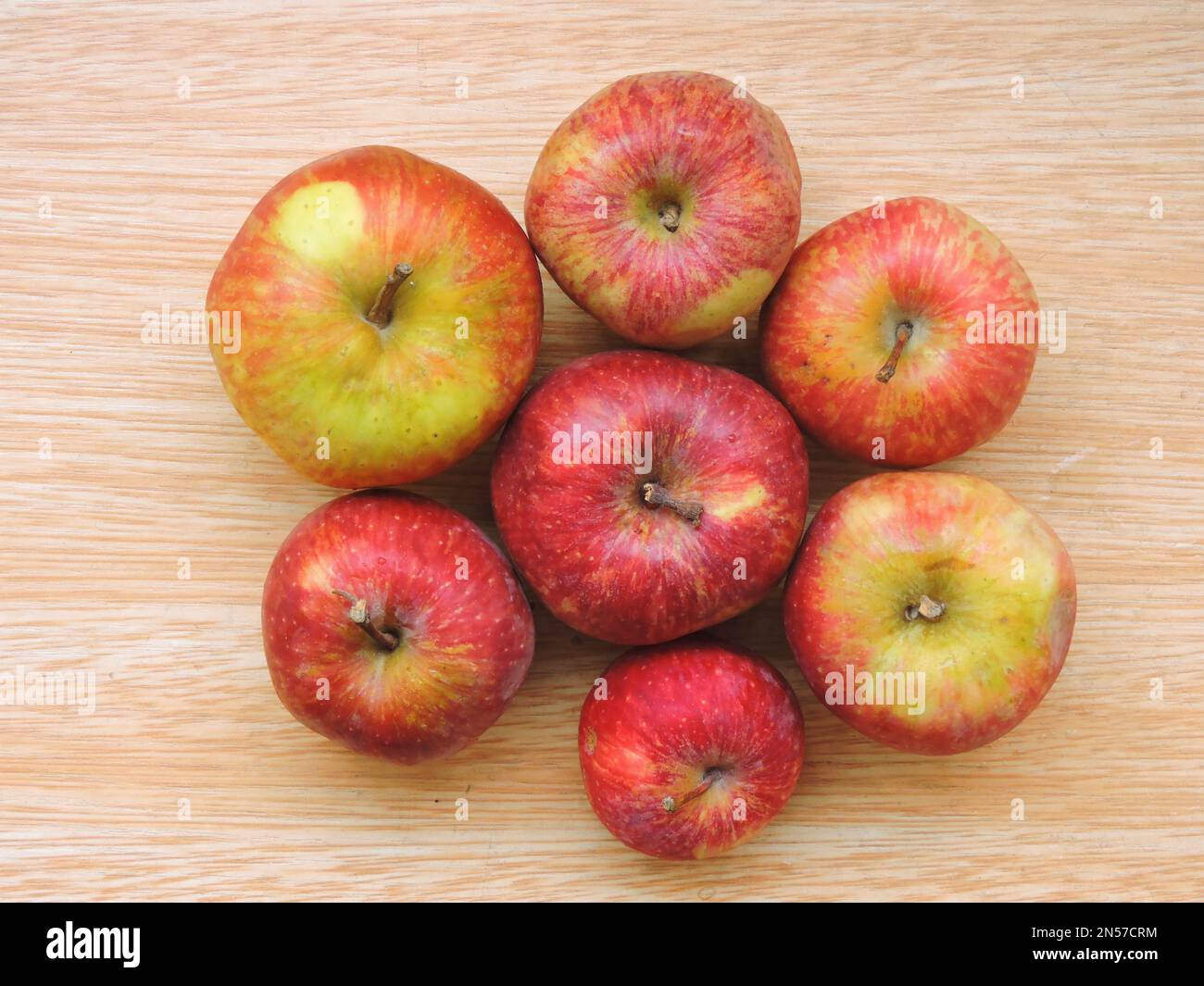 An apple is an edible fruit produced by an apple tree (Malus domestica). Apple trees are cultivated worldwide and are the most widely grown species. Stock Photo
