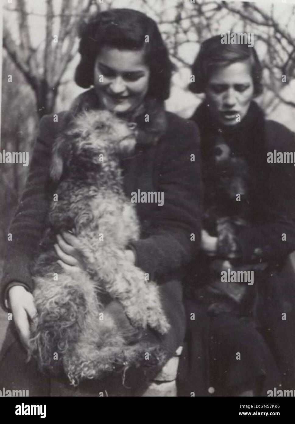 Vintage Photograph about pet dogs : hand holding puppy / hugging dogs / Dog Hugs Young ladies with big smile on them face holding them little dogs in them arm at the 1930s.  One dog is wire-haired dog the other is a little black dog. / Holding dog under arm Stock Photo