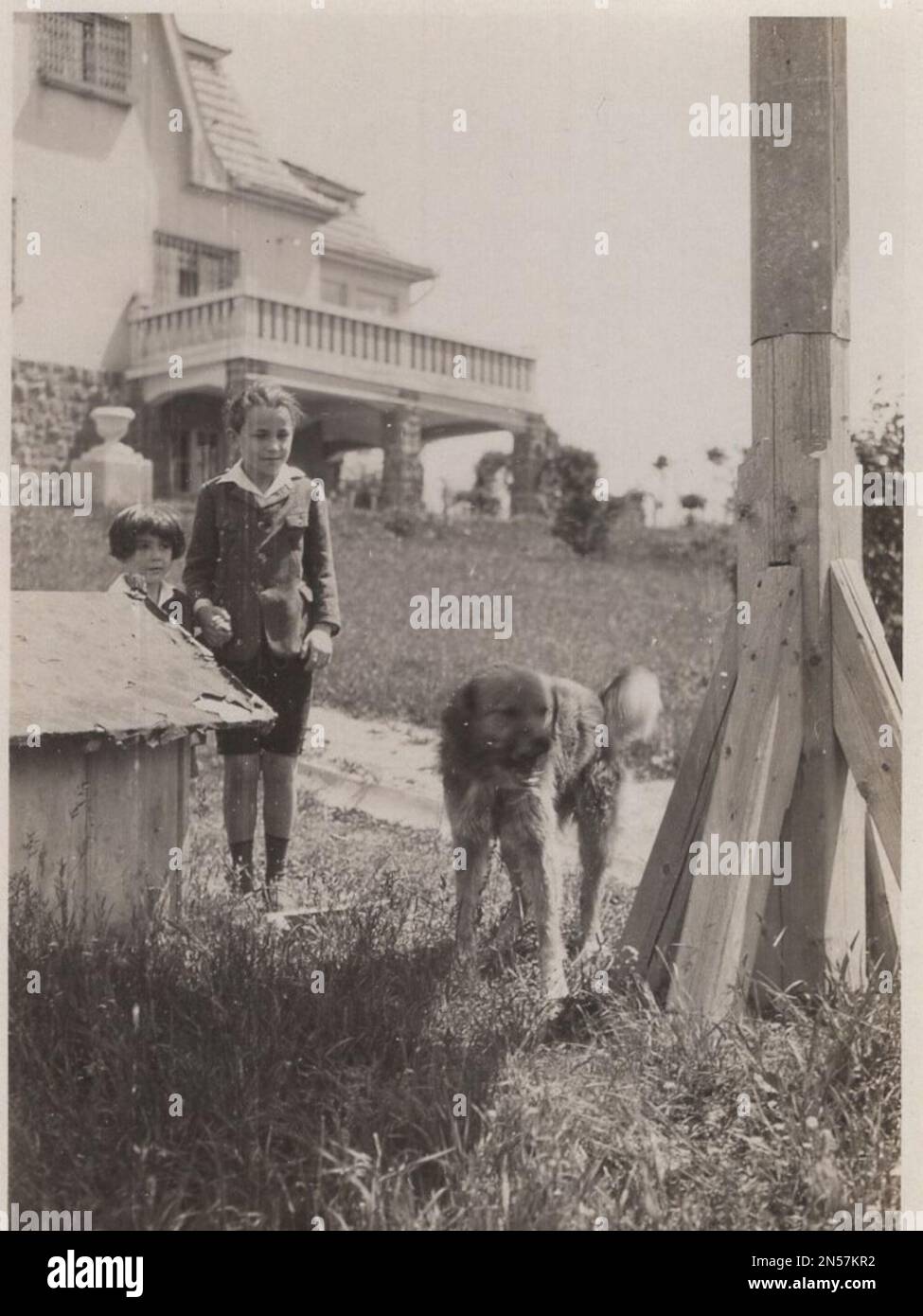 Vintage Photograph of a  young Girl and her pet Dog : Be aware with the dog! After the fence he is the boss! Big dog is watching someone sharkly. Behing him two children ( one little boy and his older sister ) the dog looks like protecting them. There is a very nice villa behind the photo. Stock Photo