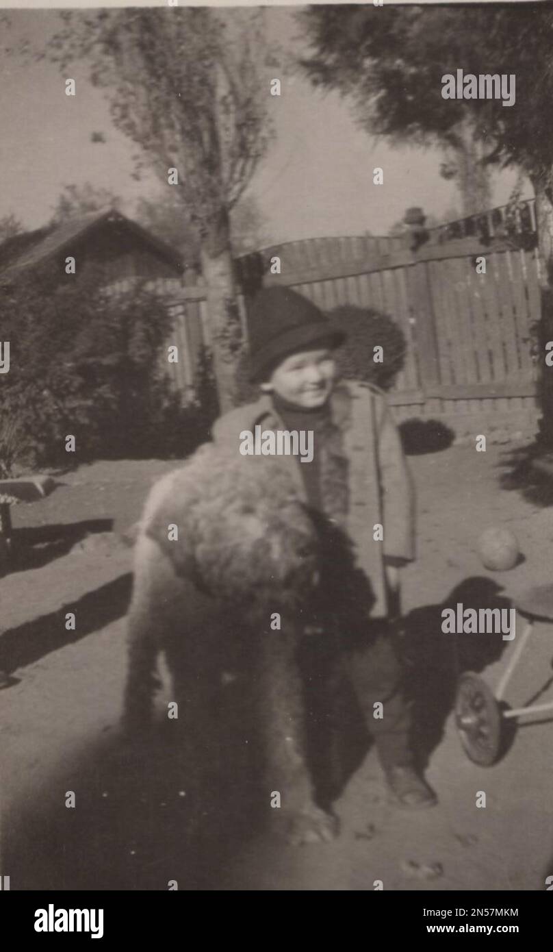 Vintage Photograph about pet dogs : / hand holding puppy / hugging dogs / Dog Hugs : Vintage family photo little boy standing with his loving big white curly shepherd dog. Happy smiling family photo from the 1930s. little boy caress and hugging dog at playground. Stock Photo