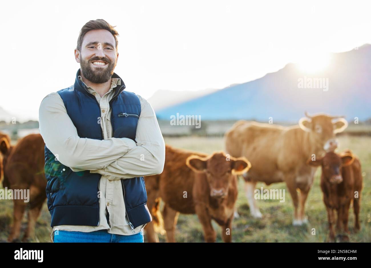 Sustainability, confidence and portrait of farmer with cows on field ...