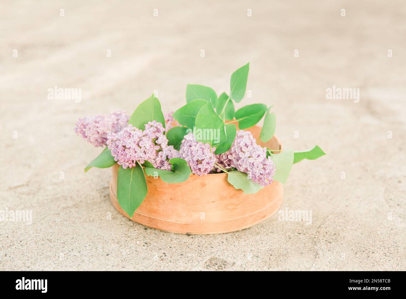 lilac flowers in a sieve. still life with lilac Stock Photo - Alamy