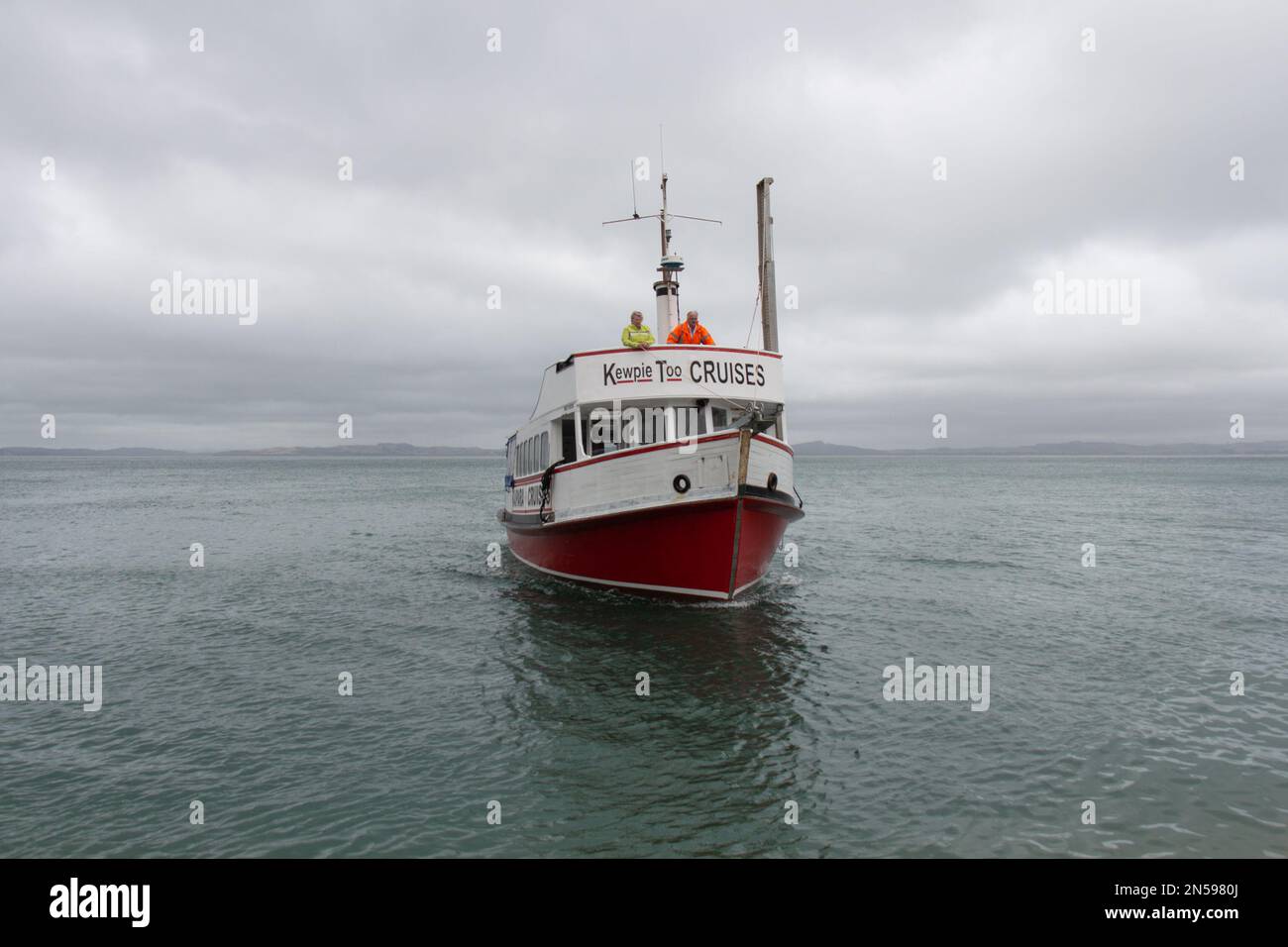New Zealand, Kaipara Harbour January 24 2021 front view of cruise