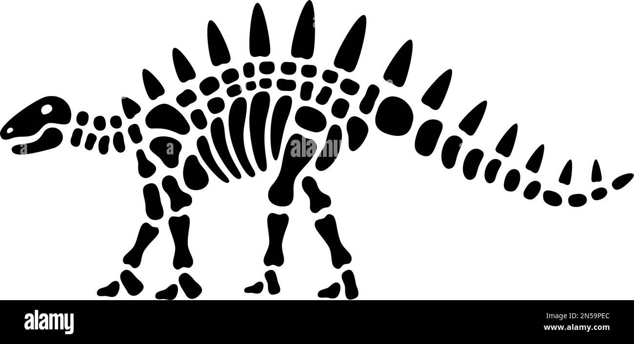 Kentrosaurus skeleton. Kentrosaurus fossil body parts. Dinosaur bones