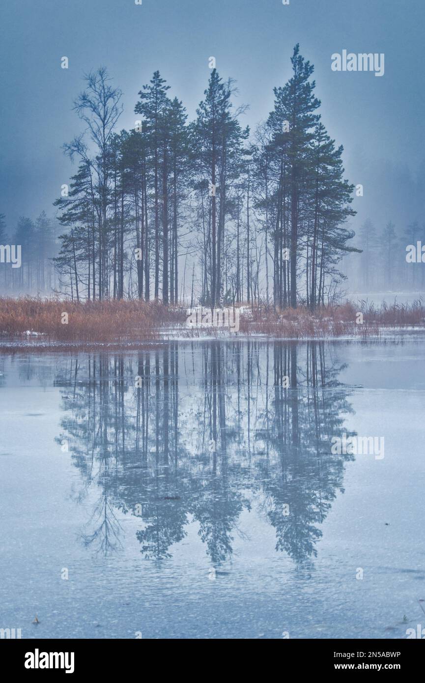 A vertical shot of trees reflected in the river Stock Photo - Alamy