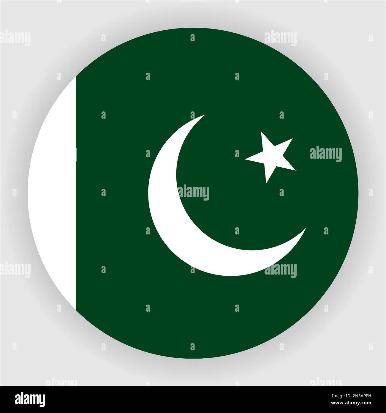 Pakistan Flat Rounded Flag Icon Button Vector Stock Vector