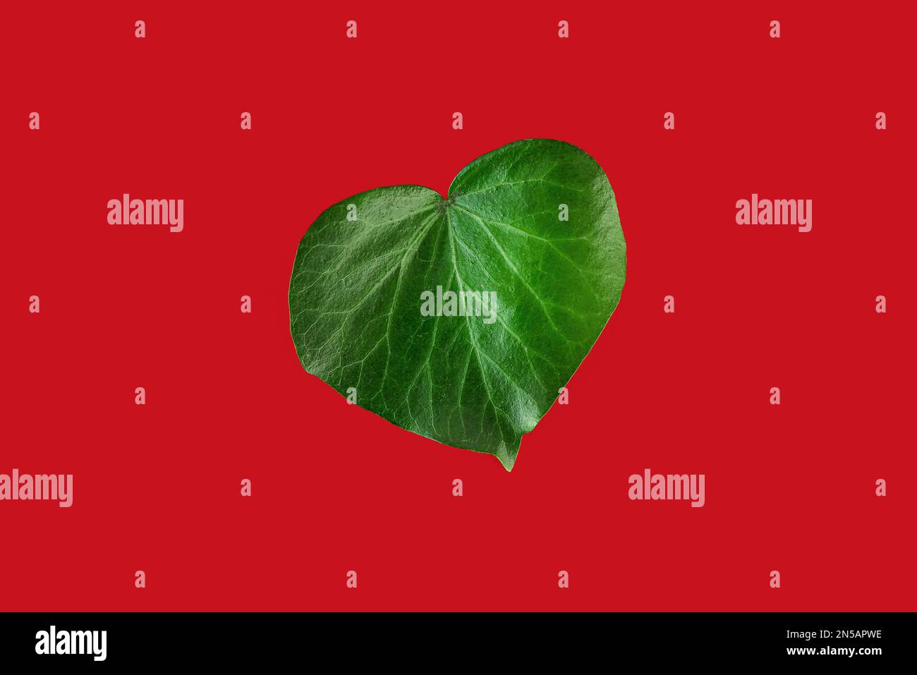Green leaf heart shaped on red background. Valentines Day or Womens day concept. Flat lay. Top view Stock Photo