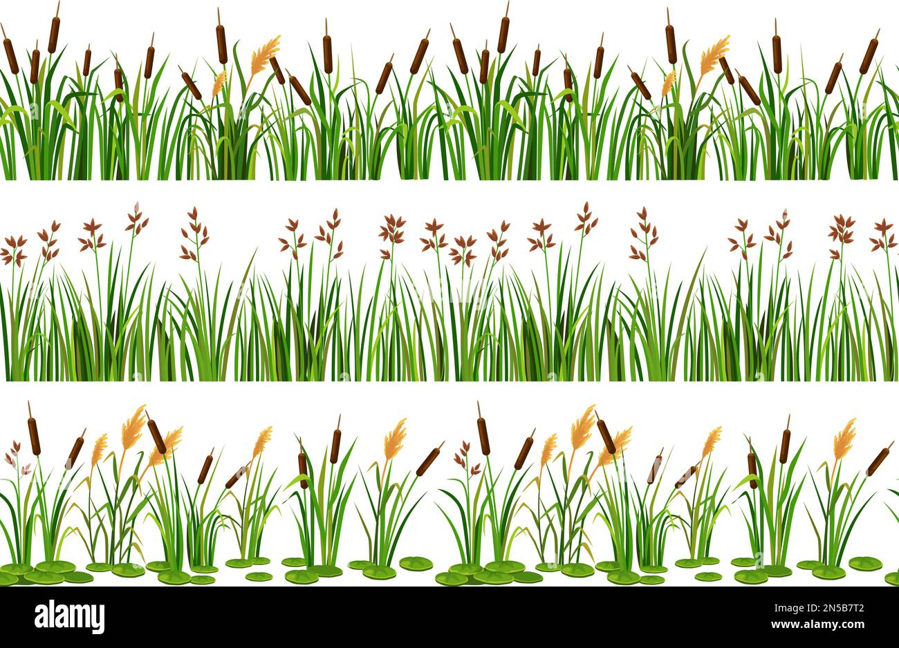 Lake aquatic plant borders. Seamless swamp cattails, marsh reed and strip of coastal river plants vector illustration set Stock Vector