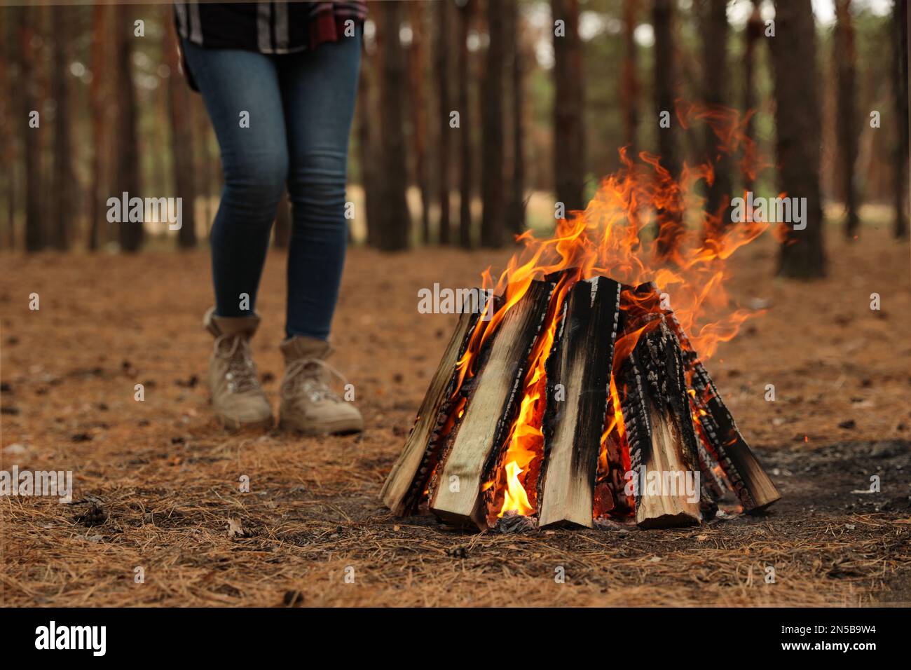 Woman near burning firewood in forest, closeup Stock Photo