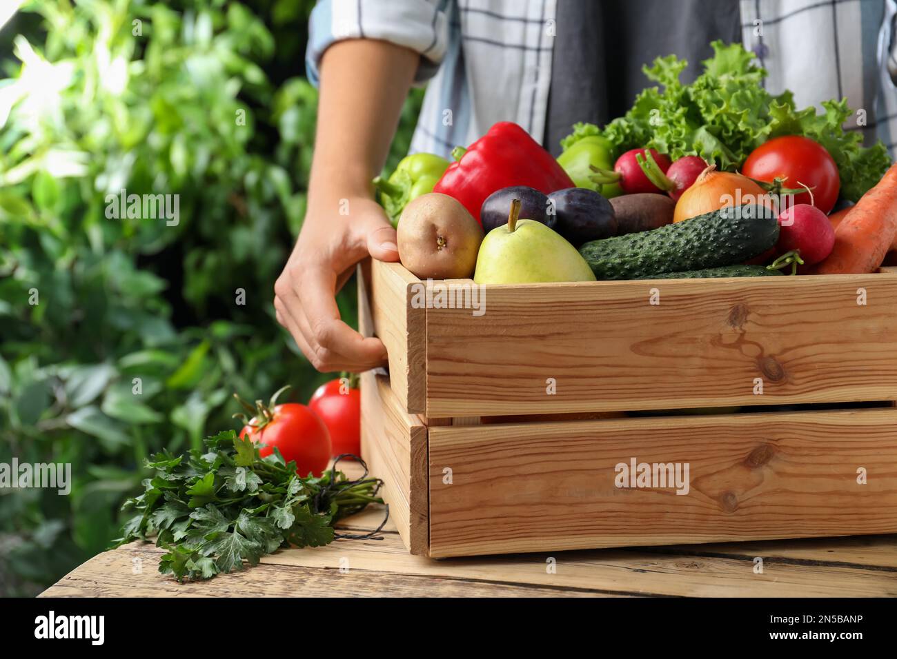 Farmer with crate full of different vegetables and fruits outdoors ...