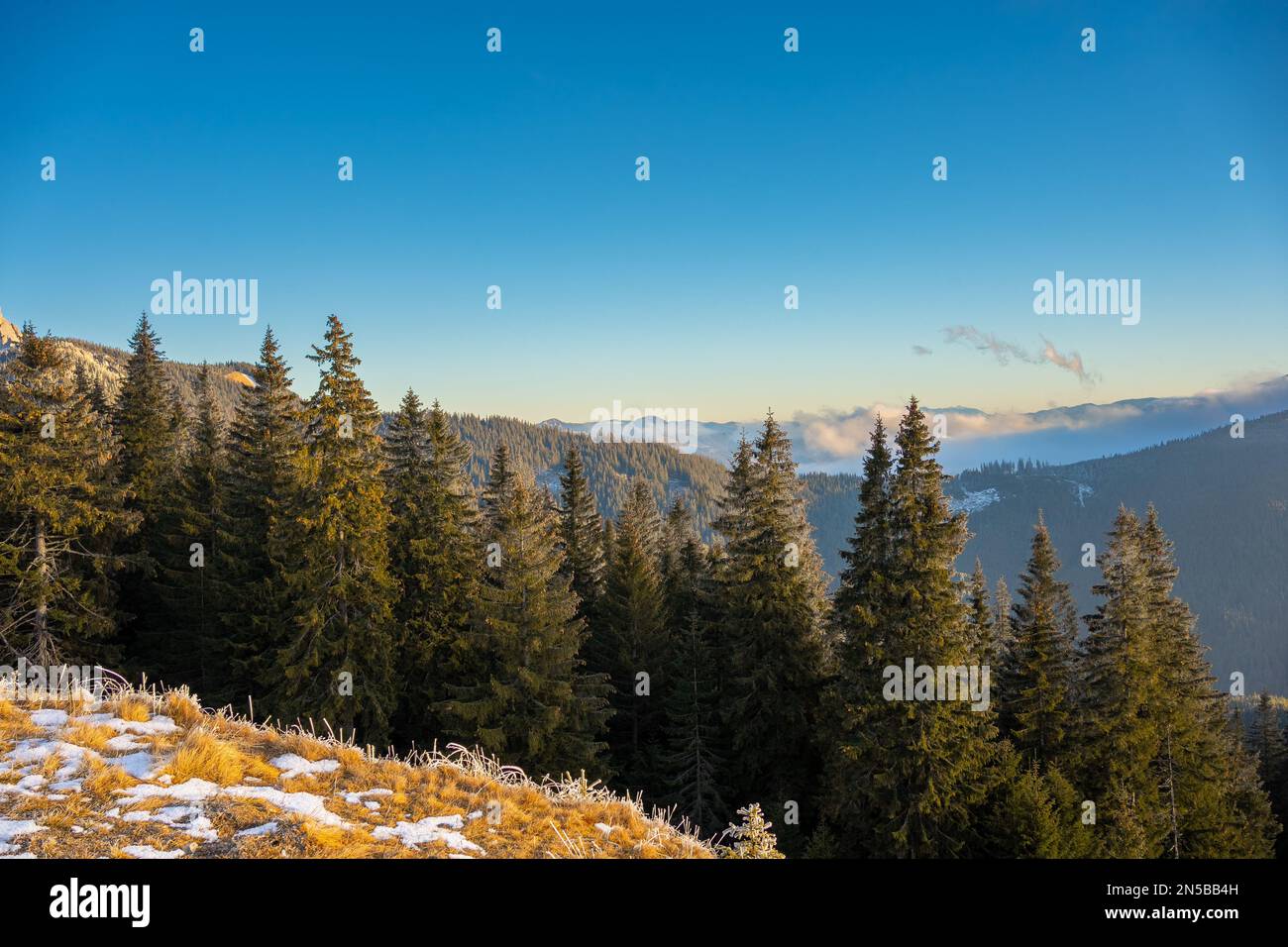 Rarau Mountains in Bucovina region of Romania. Warm January view from top of Rarau Pass Stock Photo