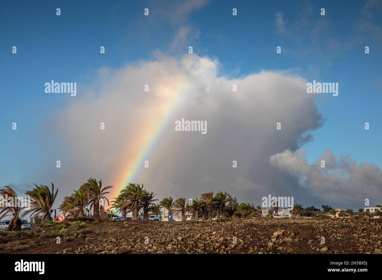 rainbow over palm trees in the north of Costa Teguise, Canary Islands, Lanzarote Stock Photo