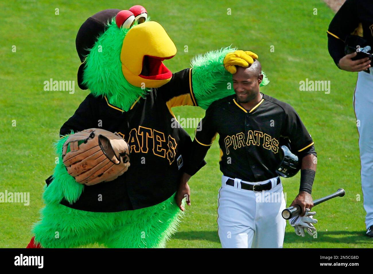 The Pirate Parrot, the mascot of the Pittsburgh Pirates rubs the head ...