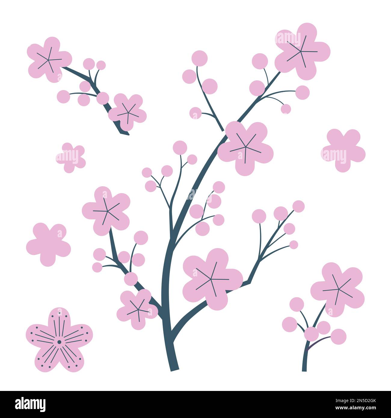 Japanese Cherry Blossom Branches with Sakura Flowers Stock Vector Image ...