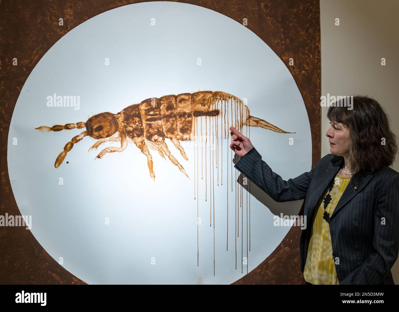 Edinburgh, Scotland, UK, 9th February 2023. Living Soil mixed media art exhibition preview: Artist Natalie Taylor with her work from a 4 month residency at the Royal Botanic Garden at the John Hope Gateway visitor centre. She has made the vitality of soil visible through paintings, photographs and poetic plates. Pictured: a drawing of a springtail, a creature important for turning organic material into soil. Credit: Sally Anderson/Alamy Live News Stock Photo