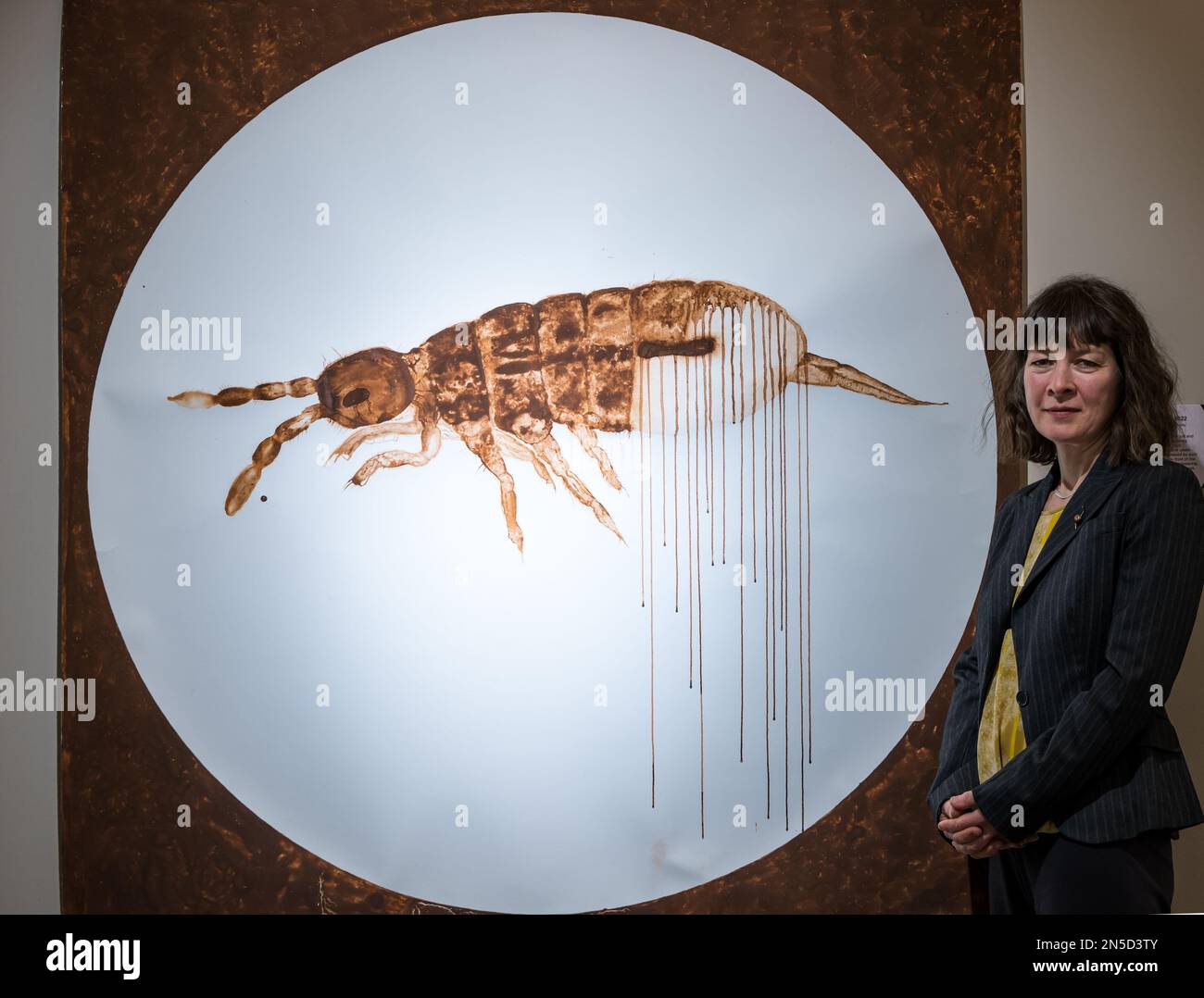 Edinburgh, Scotland, UK, 9th February 2023. Living Soil mixed media art exhibition preview: Artist Natalie Taylor with her work from a 4 month residency at the Royal Botanic Garden at the John Hope Gateway visitor centre. She has made the vitality of soil visible through paintings, photographs and poetic plates. Pictured: a drawing of a springtail, a creature important for turning organic material into soil. Credit: Sally Anderson/Alamy Live News Stock Photo