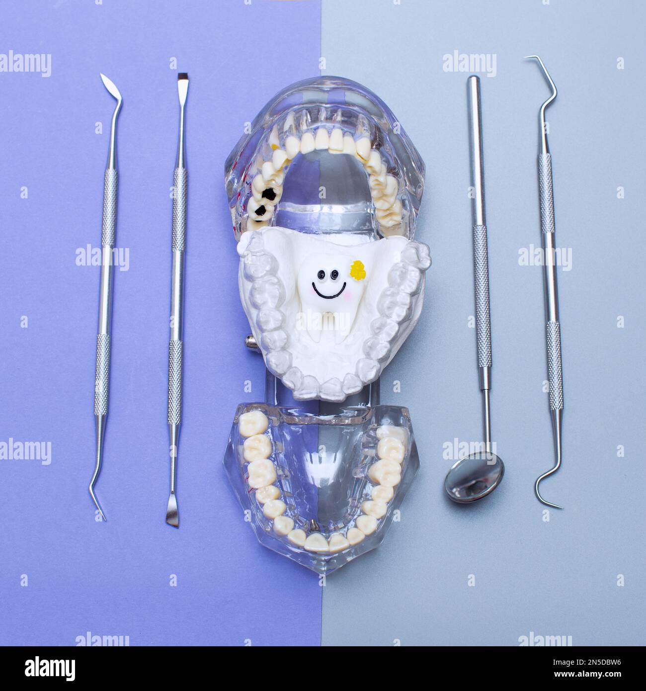 Dental tools and model of teeth on a blue background. Dental care ...