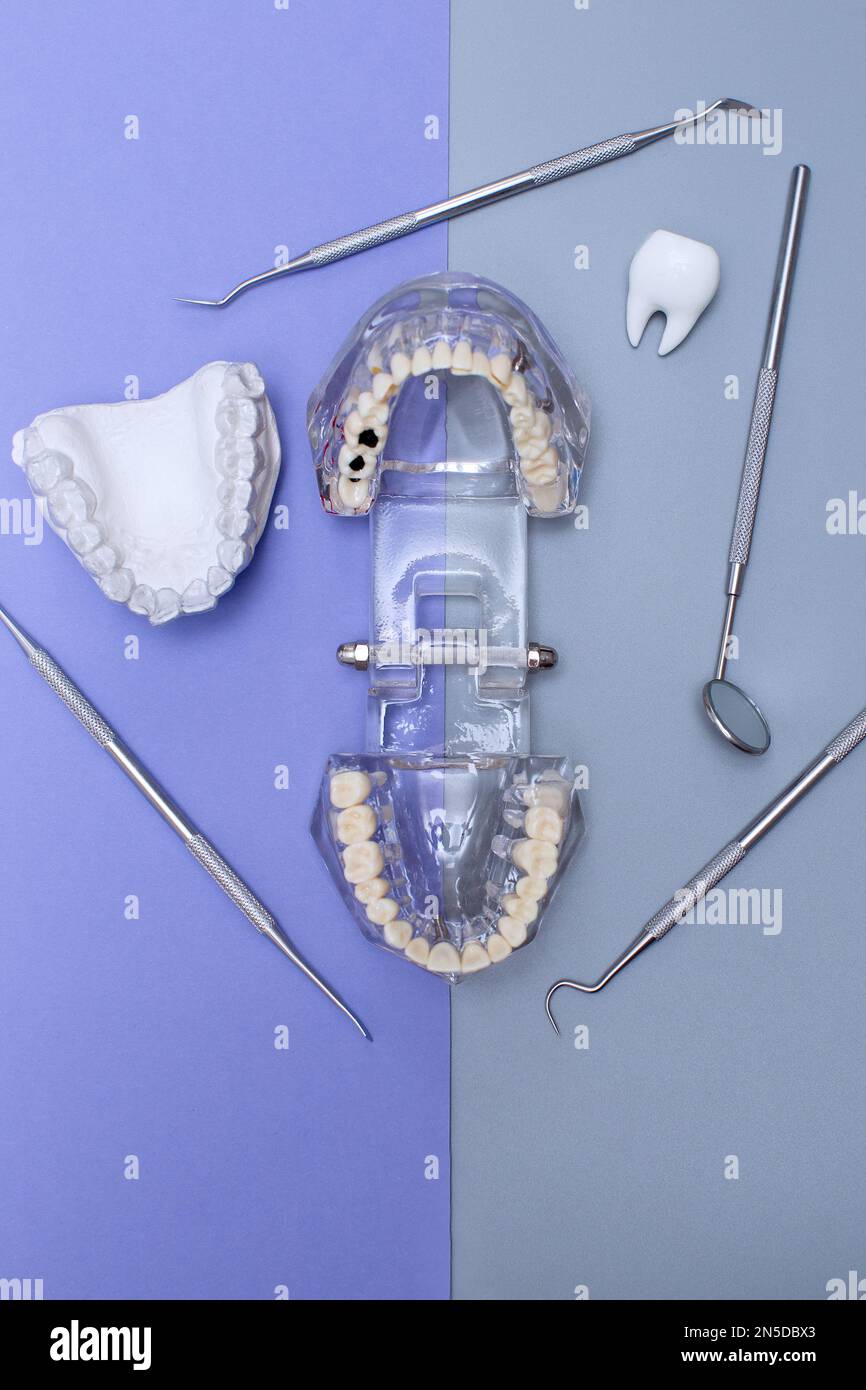 Dental tools and model of teeth on a blue background. Dental care ...