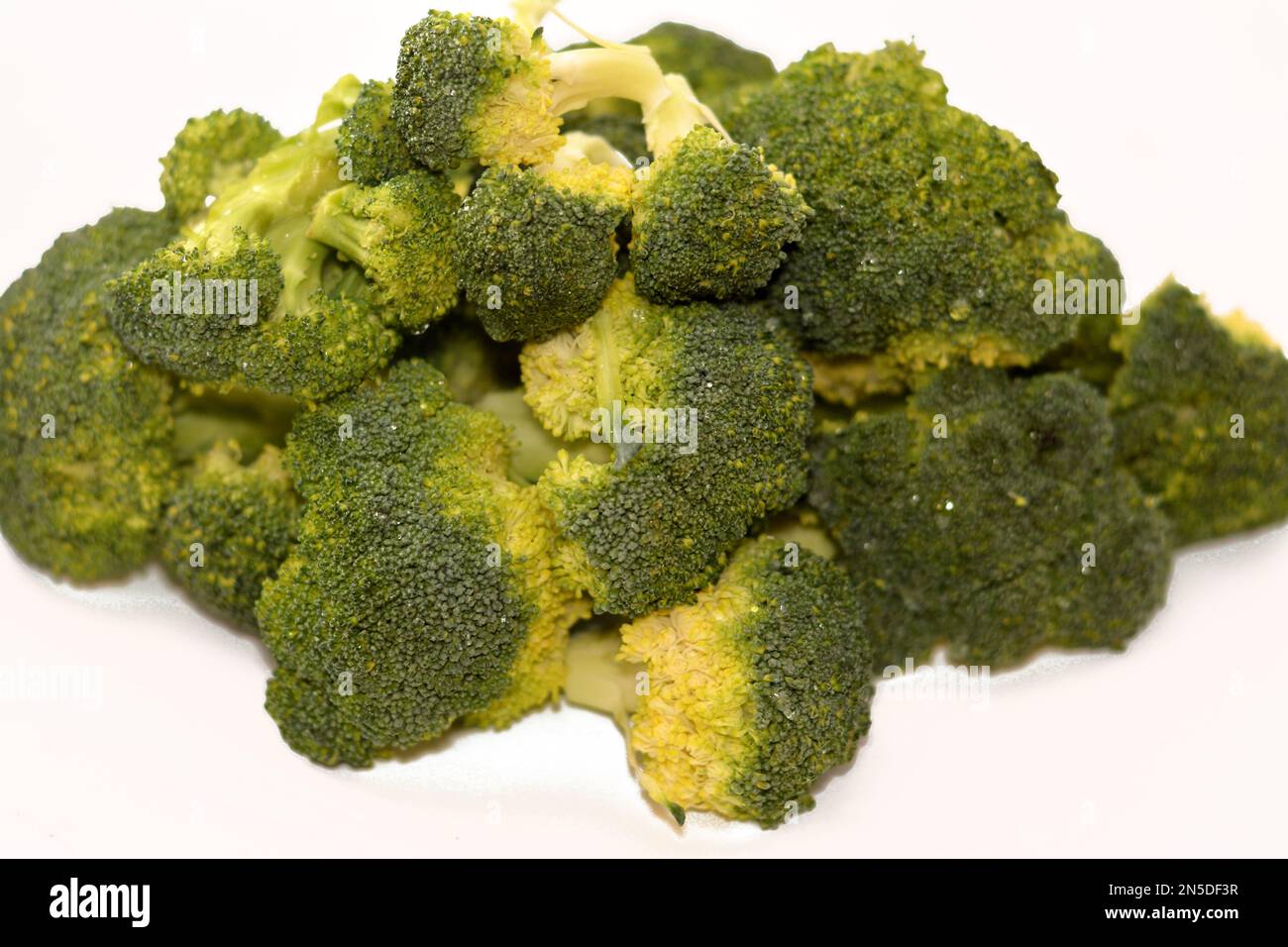 Broccoli (Brassica oleracea var. italica), an edible green plant in the