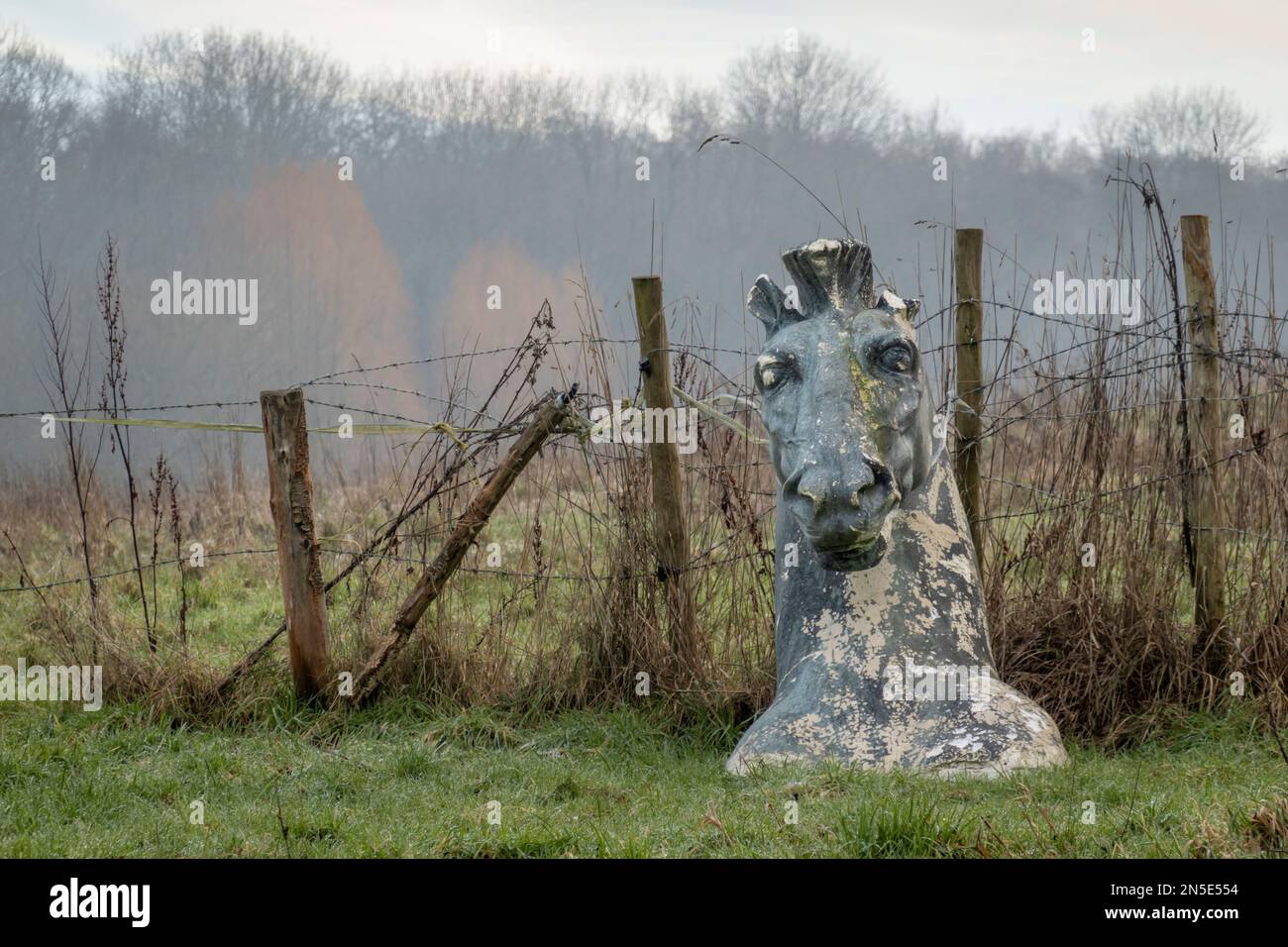 Peeling model of horse's head against barbed wire fence, Bucklebury Common, Berkshire, England, United Kingdom, Europe Stock Photo