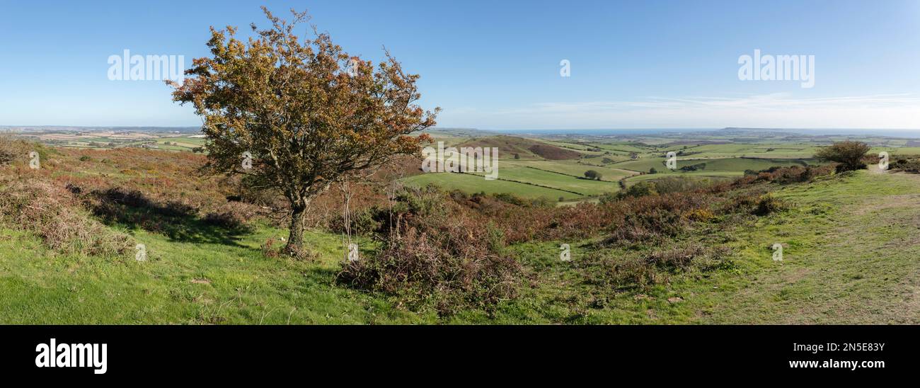 Dorset rural landscape from the Hardy Monument looking to the sea and Portland, Portesham, Dorset, England, United Kingdom, Europe Stock Photo