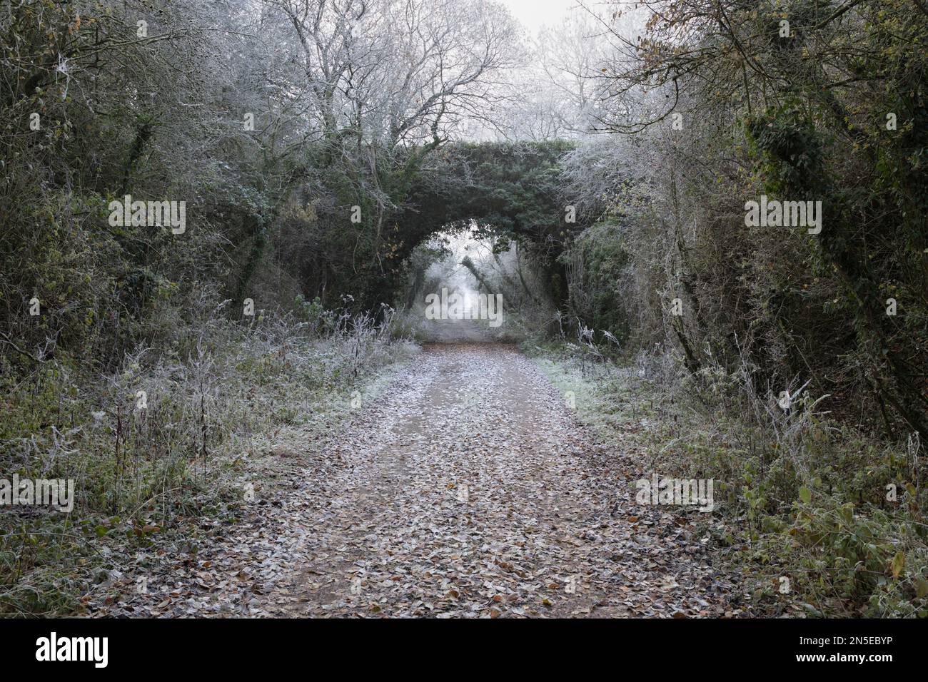 Former railway line and bridge at Old Burghclere of the Didcot, Newbury and Southampton Railway on a foggy winter morning Stock Photo