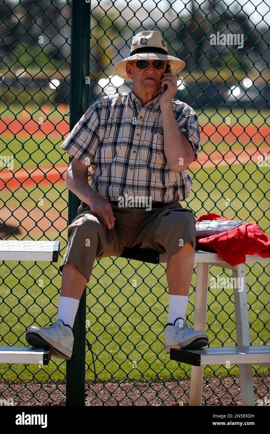 A Pittsburgh Pirates fan talks on the phone while watching the Pirates