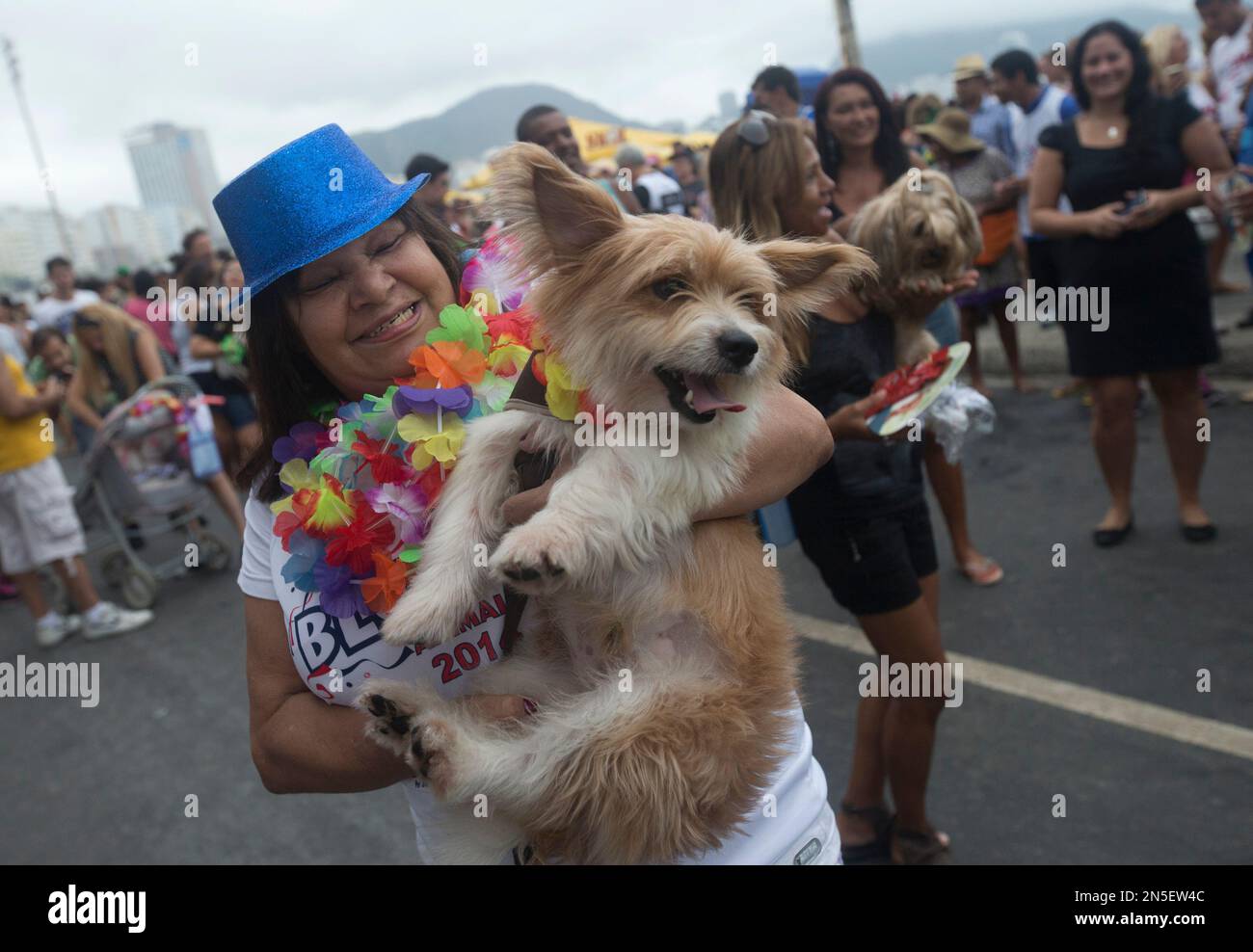People dance with their dogs dressed for carnival, during "Blocao" dog carnival in Rio de Janeiro, Brazil, Sunday, Feb. 16, 2014. About 100 dogs have had their day at a pre-Carnival