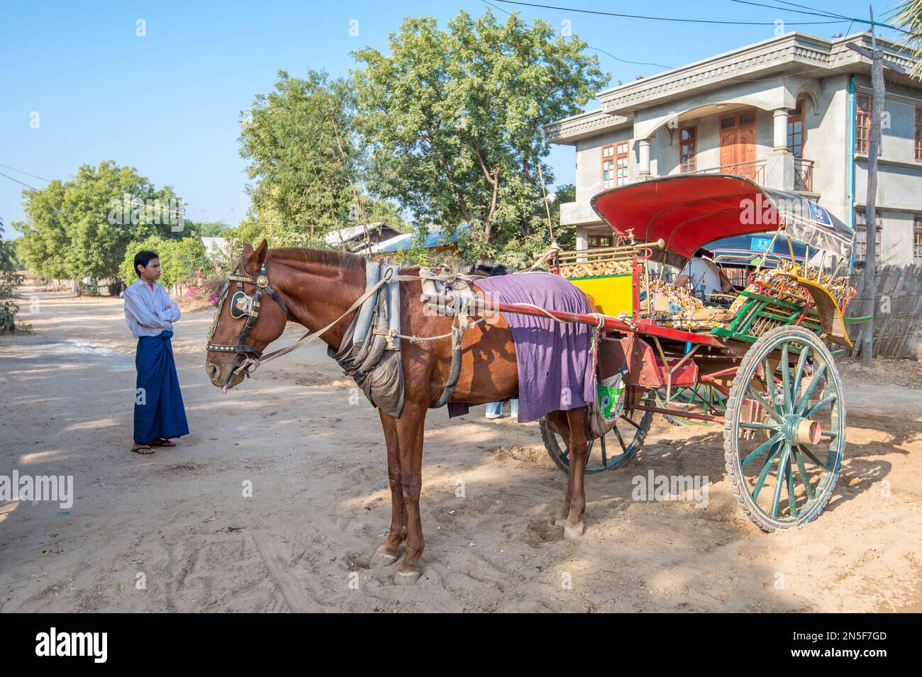 Horse driver waiting in the morning for tourists to explore the