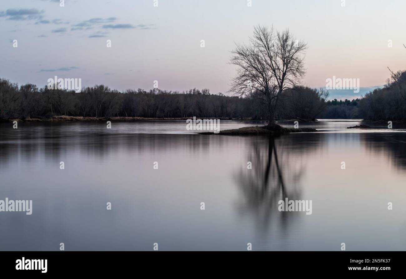 Lone Tree growing in the St. Croix River at twilight showing off its reflection surrouded by the trees of Interstate State Park in Taylors Falls, Minn Stock Photo