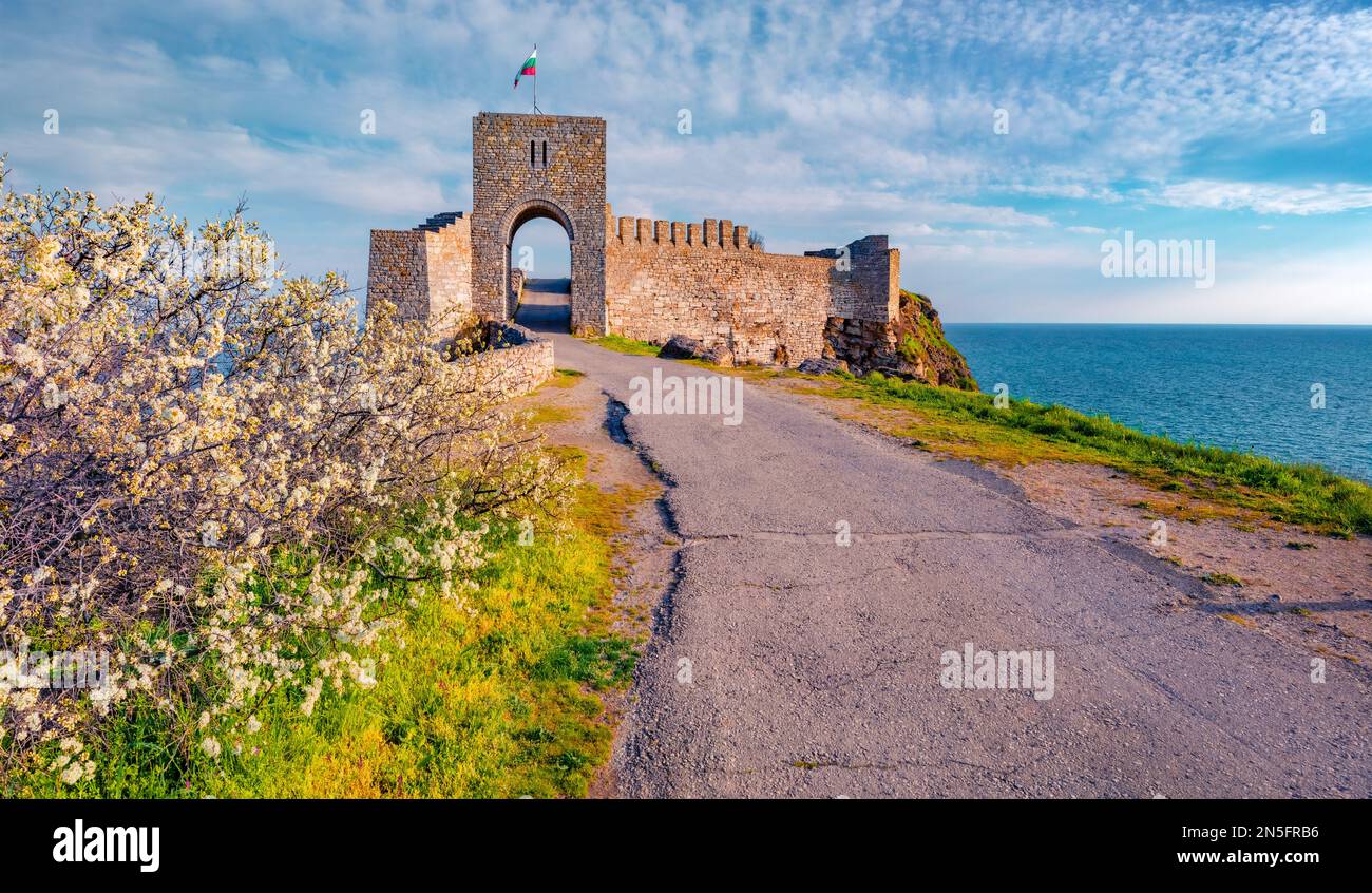 Astonishing morning view of Kaliakra fortress with blooming tree. Attractive landscape of Bulgaria, Europe. Spectacular spring seascape of Black sea. Stock Photo