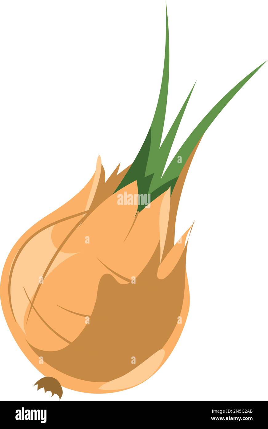 Onion bulb icon. Healthy natural fresh vegetable Stock Vector