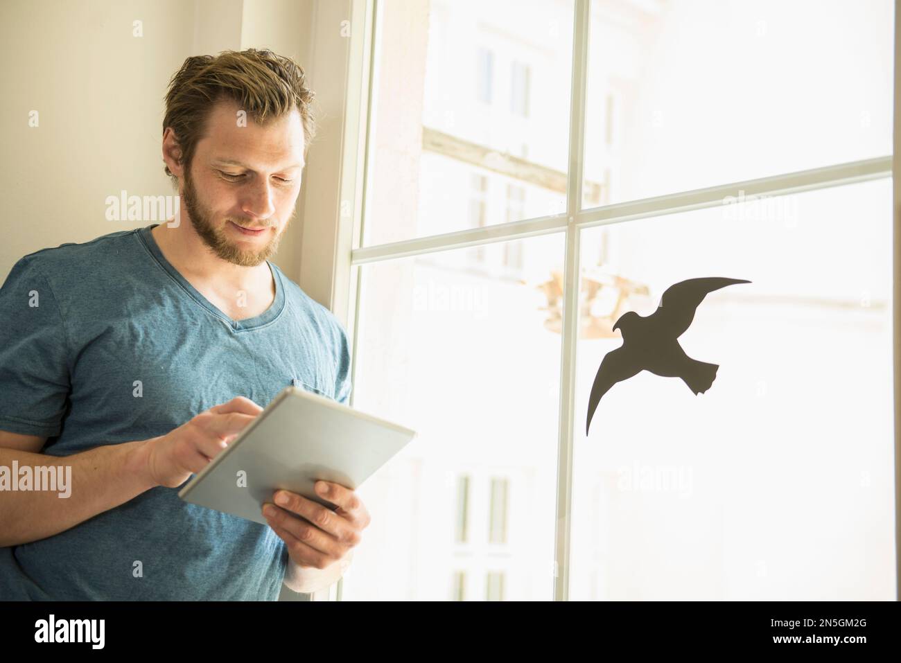 Man using digital tablet standing by window, Munich, Bavaria, Germany Stock Photo